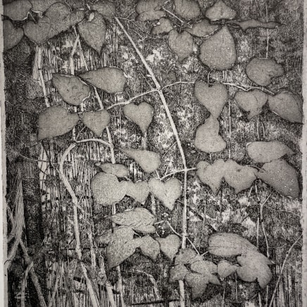 Charles Donker, Bosrank III (Clematis vitalba), 2024