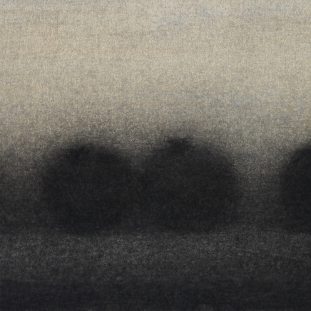 Nicolas Poignon, Grenades dans l'ombre, 2010
