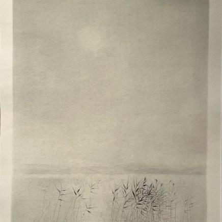 Gunnar Norrman, BLADVASS, 1977