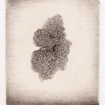 Cécile Reims, D'un lointain passé, 2017