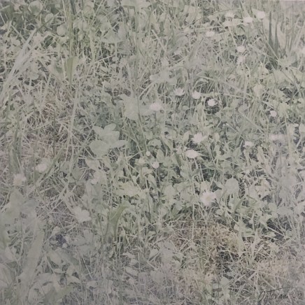 Farhad Ostovani, Primavera - 18, 2021
