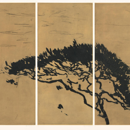 Astrid de La Forest, Triptyque Le Grand Pin, 2016