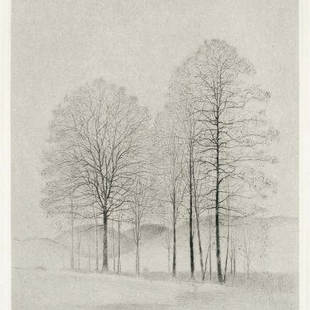 Gunnar Norrman, Backlandskap, 1979