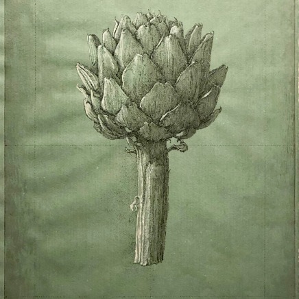 Érik Desmazières, L'Artichaut (épreuve rehaussée), 2015