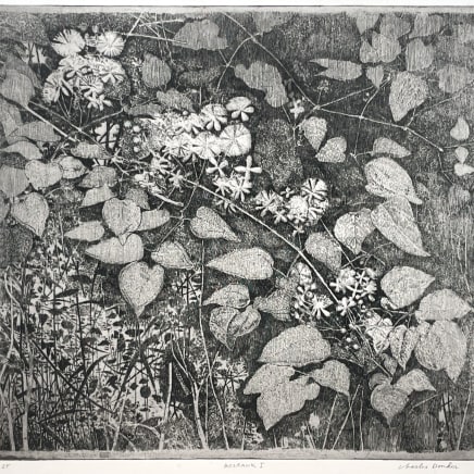 Charles Donker, Bosrank I (Clematis vitalba), 2023-2025