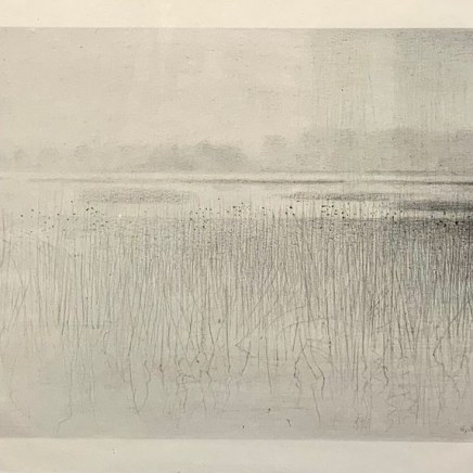 Gunnar Norrman, VASS VID DAMMEN, 1974