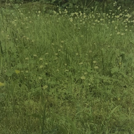 Farhad Ostovani, Primavera - 28, 2021