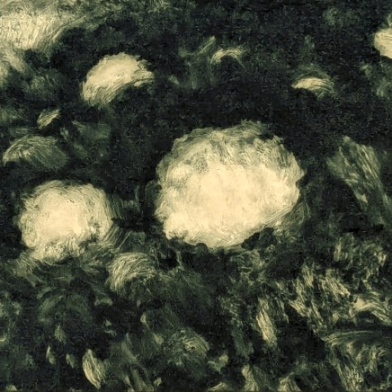 Nicolas Sage, Hortensias II, 2025