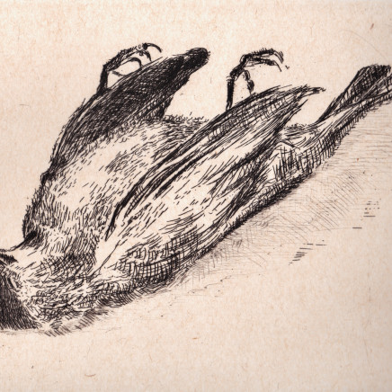 Astrid de La Forest, L'Oiseau mort, 2017