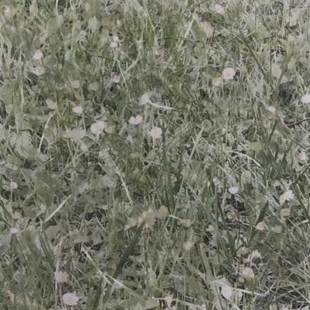 Farhad Ostovani, Primavera - 15, 2021