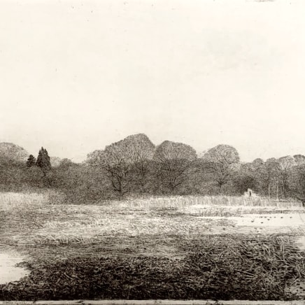 Charles Donker, Landschap Rhijnauwen (Dinsdag) - Paysage Rhijnauwen (mardi), 2017