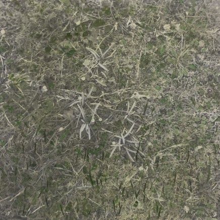 Farhad Ostovani, Primavera - 07, 2021