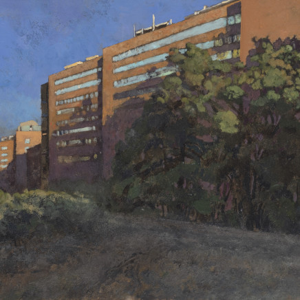 Charles-Élie Delprat, Madrid, hospital Jimenez Diaz, 2019