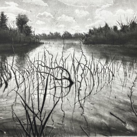 Lucio Mosner, Zwochauer See, 2024