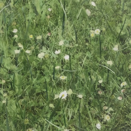 Farhad Ostovani, Primavera - 16, 2021