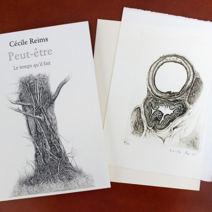 Cécile Reims, Peut-être, 2010