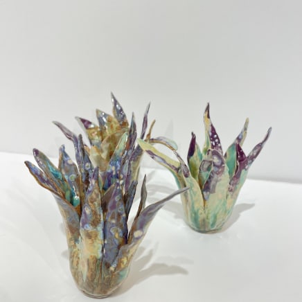 Helena Arellano Mayz, Aloe Vera, 2024