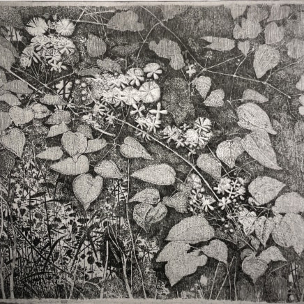 Charles Donker, Bosrank II (Clematis vitalba), 2023-2025