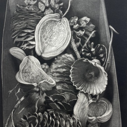 Judith Rothchild, Histoires naturelles, 2012