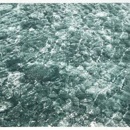 Ariane Fruit, Immersion, 2025