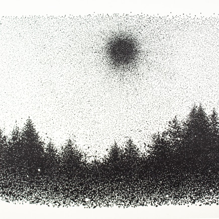 Nicolas Poignon, Soleil noir, 2020-2021