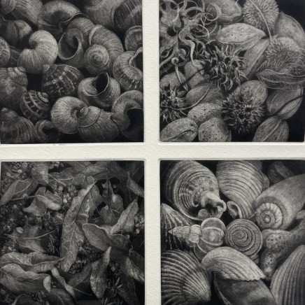 Judith Rothchild, Thème et variations, 2024