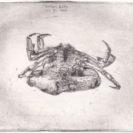 Frans Pannekoek, Sun, Sea and Sex / A Crab on Its Back (Un crabe sur le dos), 1999