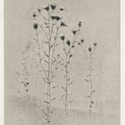 Gunnar Norrman, Tistlar, 1987
