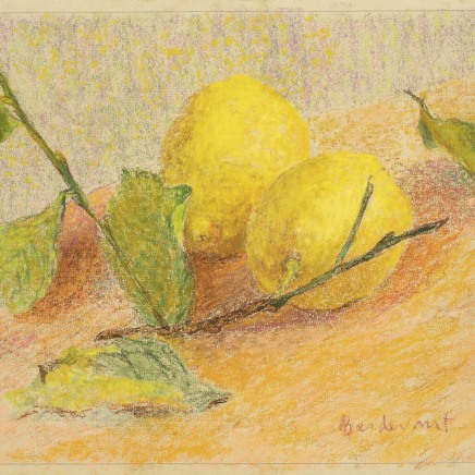 Martin Basdevant, Citrons, 2021
