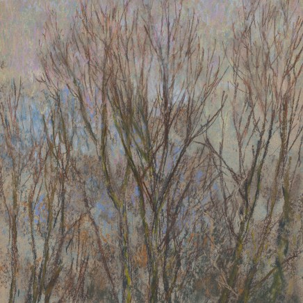 Martin Basdevant, Matin bleu - Les Trembles, 2023