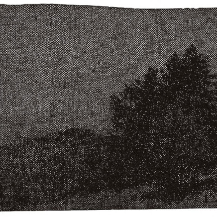 Nicolas Poignon, Paysage avec sapins, 1998