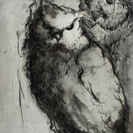 Marjan Seyedin, "Hiboux et chouettes" #9, 2019