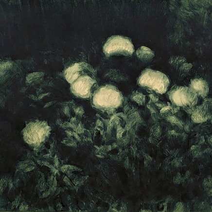 Nicolas Sage, Grands hortensias, 2025