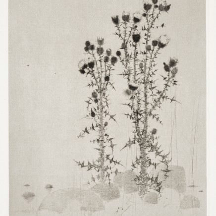 Gunnar Norrman, Tistelstrand, 1976