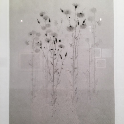 Gunnar Norrman, Sensommar (La Fin de l'été), 1965