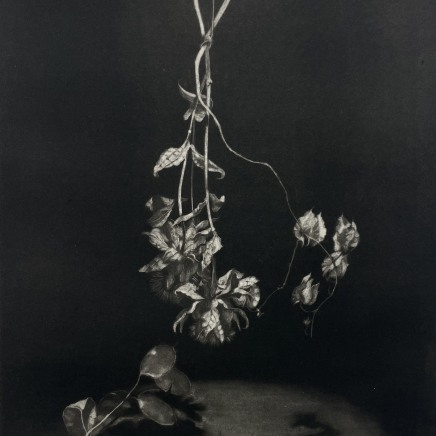 Judith Rothchild, In the spotlight IV, 2017