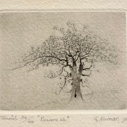 Gunnar Norrman, ENSAM EK , 1978