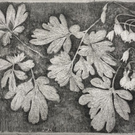 Charles Donker, Lenteklokje (leucojum vernum), 2024