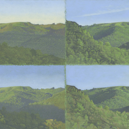 Jean-Michel Bacquet, La Vue d'en face, quatre études d'une journée de mai, 2013-2019