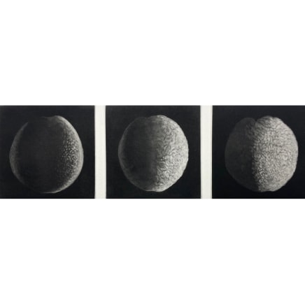 Judith Rothchild, Nocturne, 2024