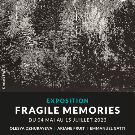ARIANE FRUIT - FRAGILE MEMORIES