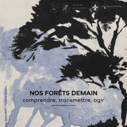 NOS FORÊTS DEMAIN