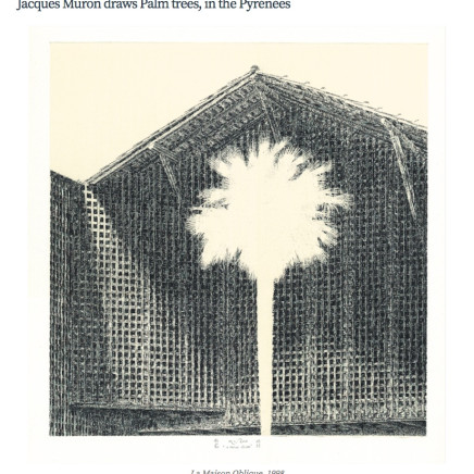 Jacques Muron draws Palm trees, in the Pyrénées