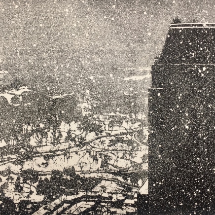 Jean-Baptiste Sécheret - Netherland, Central Park et Le Pierre, 2017