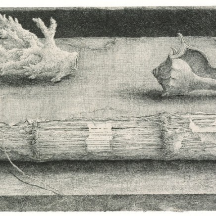 Érik Desmazières, Registre et coquillages, 2002