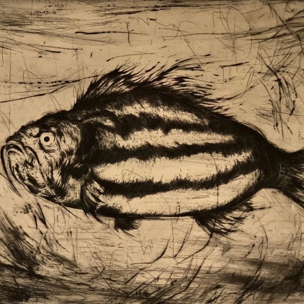 Marjan SEYEDIN série 'POISSONS' #6, 2018 Eau-forte et pointe sèche sur Chine appliqué. Épreuve signée, datée et numérotée 1/21 Dimensions...