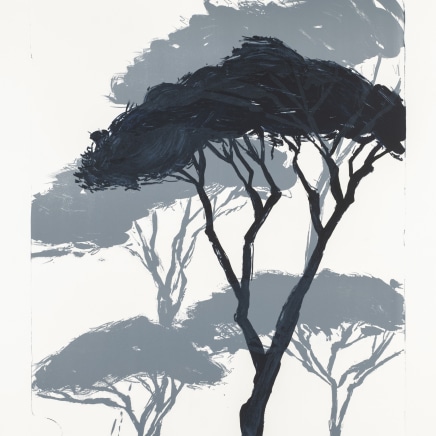 Astrid de La FOREST - Les Grands pins, 2019