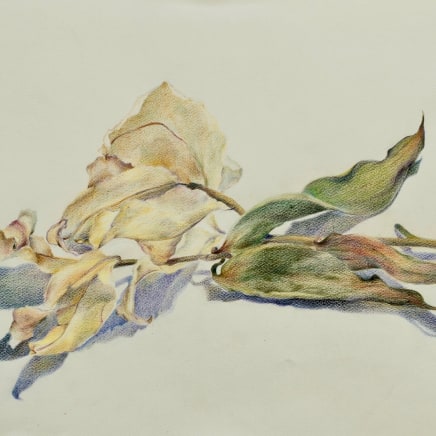 Marjan SEYEDIN - "Fleurs" - #1, 2020