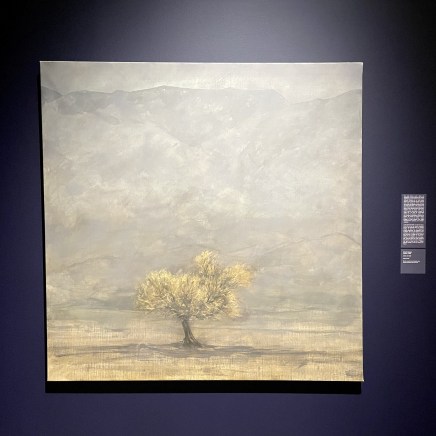 Farhad Ostovani