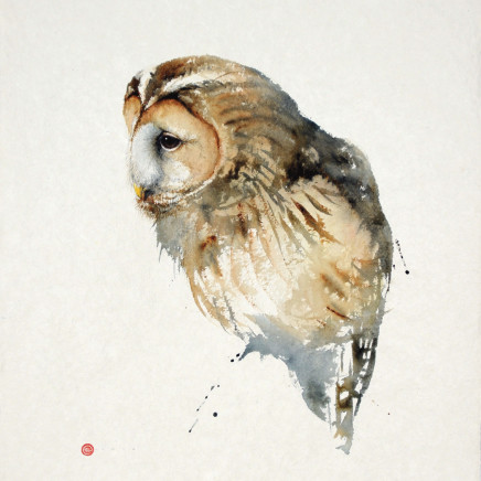 Tawny Owl, watercolour on paper, 29 x 22 ins